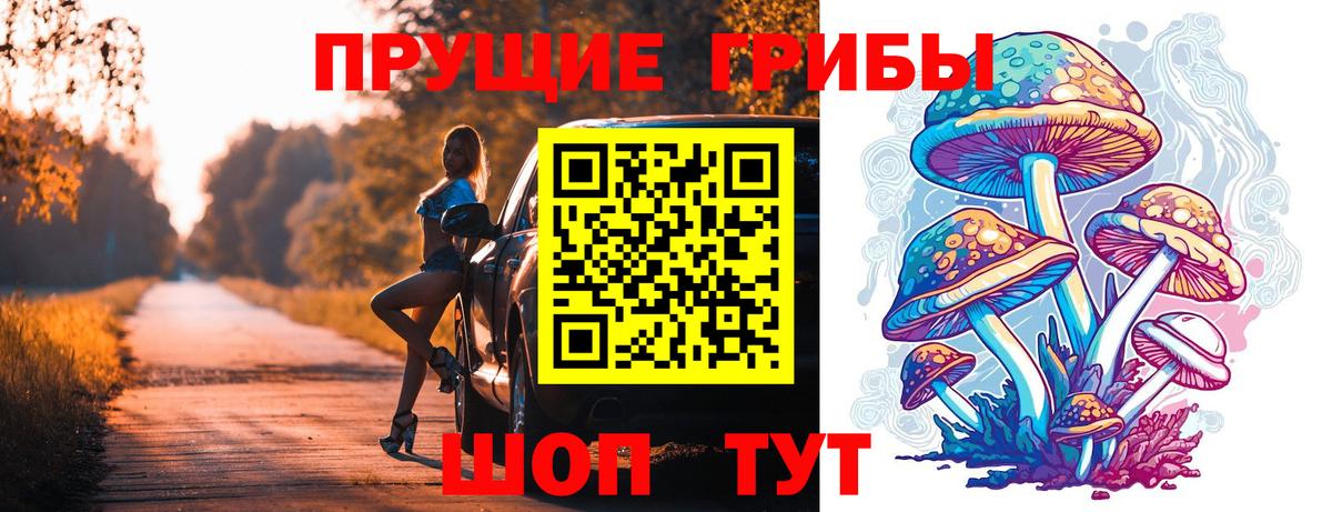 Псилоцибиновые грибы Psilocybe Тихвин