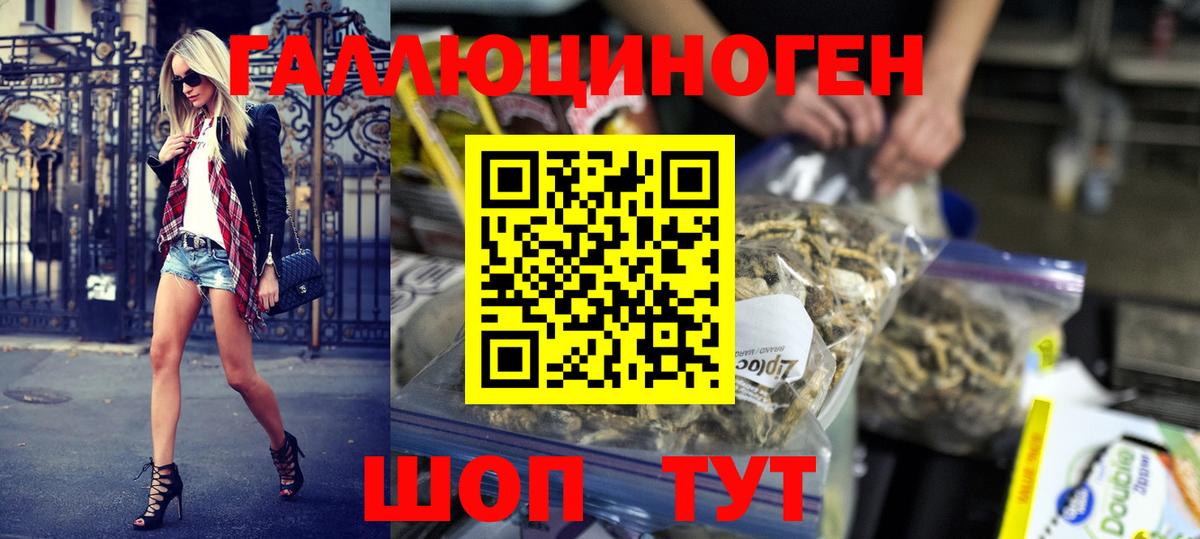 Галлюциногенные грибы GOLDEN TEACHER  Вход с VPN  Тихвин  Галлюциногенные грибы Psilocybe 